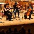 FMBW_2024_WEB_1291