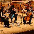 FMBW_2024_WEB_1294