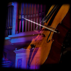 Ein Cello und die Orgel des Konzerthauses