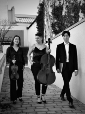 Egon Trio