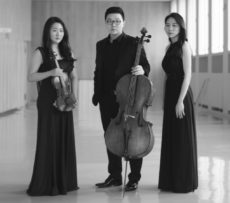 KT_Lux Trio