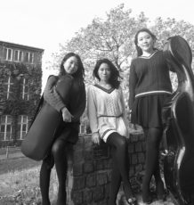 KT_Trio Peony