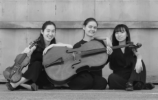 Trio Eranthis