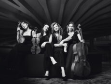 Velvet Quartet