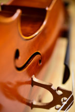 Violoncello